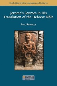 bokomslag Jerome's Sources in His Translation of the Hebrew Bible