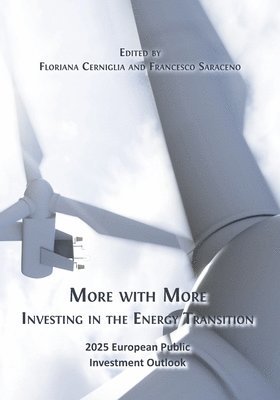 More with More: Investing in the Energy Transition