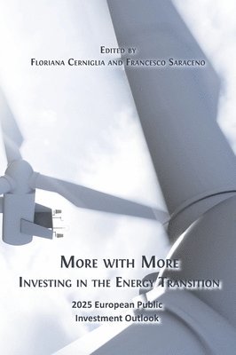 More with More: Investing in the Energy Transition