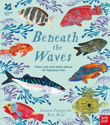 Lauren Fairgrieve - National Trust: Beneath the Waves, Inbunden