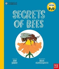 bokomslag University of Cambridge: Think Big: Secrets of Bees