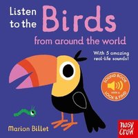 bokomslag Listen to the Birds From Around the World