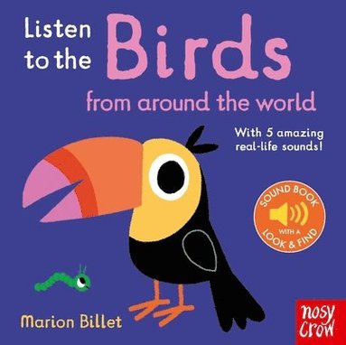 bokomslag Listen to the Birds From Around the World