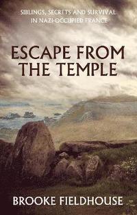 bokomslag Escape from the Temple