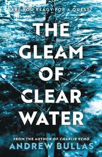 bokomslag Gleam of Clear Water