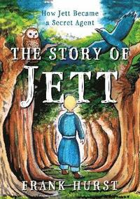 bokomslag Story of Jett
