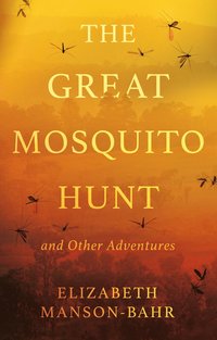 bokomslag Great Mosquito Hunt and Other Adventures