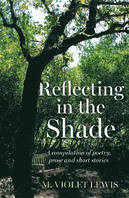 Reflecting in the Shade 1