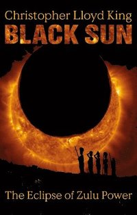 bokomslag Black Sun