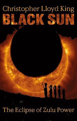 bokomslag Black Sun