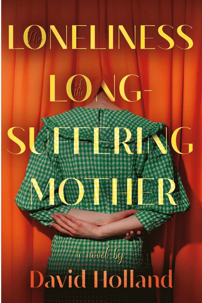 David Holland - Loneliness of the Long-Suffering Mother, Häftad