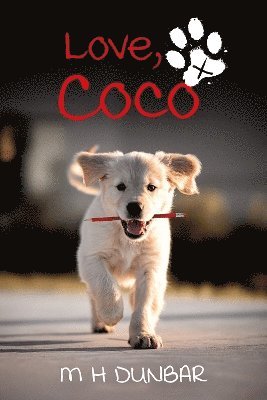 bokomslag Love, Coco x