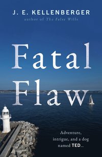 bokomslag Fatal Flaw