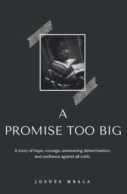 bokomslag A PROMISE TOO BIG
