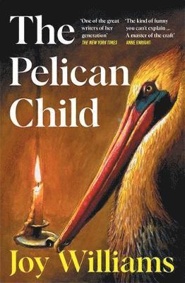 Joy Williams - Pelican Child, Häftad