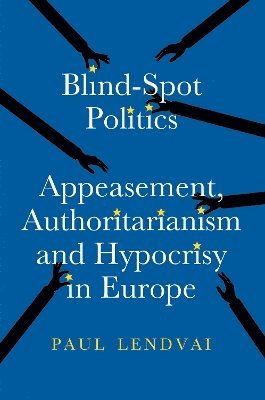 bokomslag Blind-Spot Politics