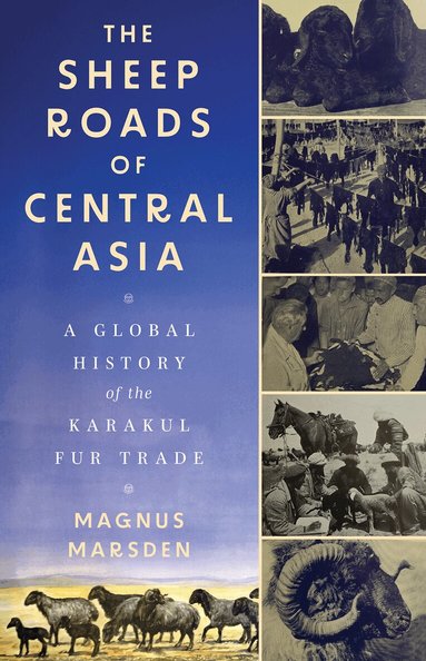 Magnus Marsden - Sheep Roads of Central Asia, Inbunden