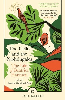bokomslag Cello and the Nightingales