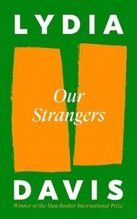 bokomslag Our Strangers