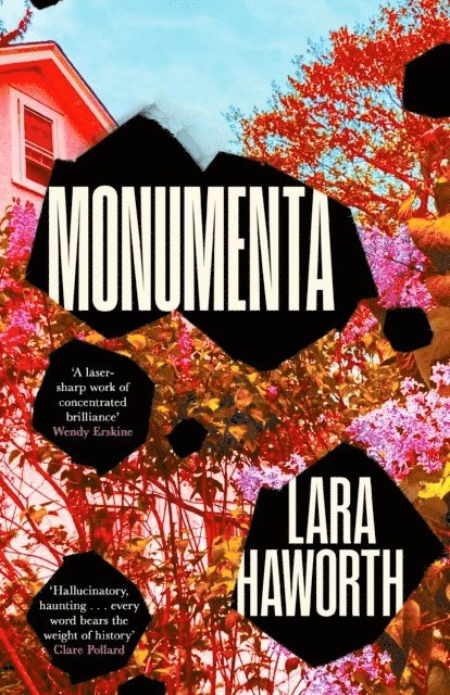 Lara Haworth - Monumenta, Inbunden