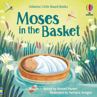 Russell Punter - Moses in the Basket, Kartonnage