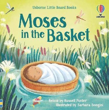 bokomslag Moses in the Basket