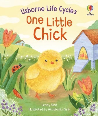 Lesley Sims - One Little Chick, Kartonnage
