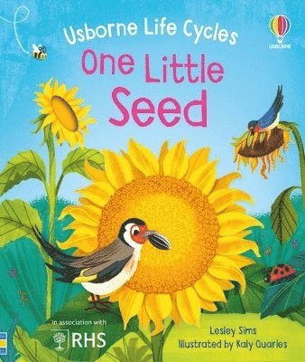 One Little Seed 1