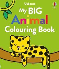 bokomslag My Big Animal Colouring Book