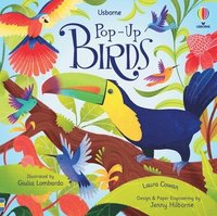 bokomslag Pop-Up Birds