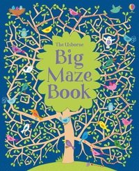 bokomslag Big Maze Book