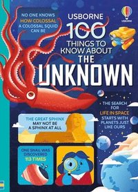 bokomslag 100 Things to Know about the Unknown: A Fact Book for Kids