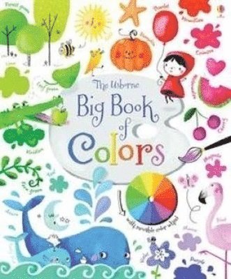bokomslag Big Book of Colors