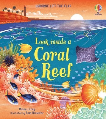 bokomslag Look Inside a Coral Reef