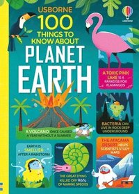 bokomslag 100 Things to Know about Planet Earth