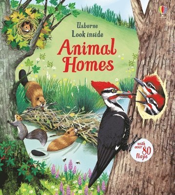bokomslag Look Inside Animal Homes