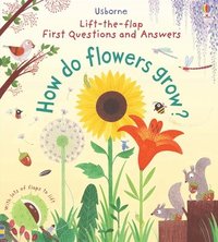 bokomslag First Questions and Answers: How Do Flowers Grow?