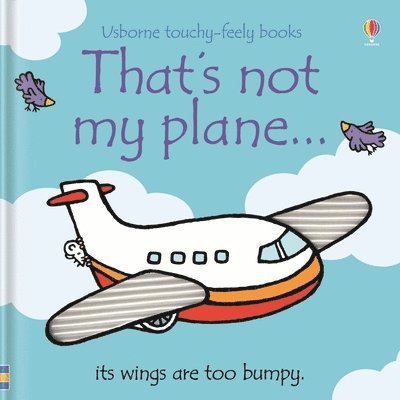 That's Not My Plane.