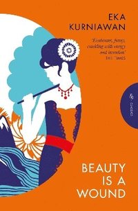 bokomslag Beauty is a Wound