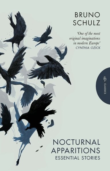 Bruno Schulz - Nocturnal Apparitions, Häftad