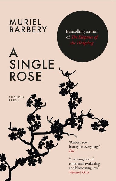 Muriel Barbery - Single Rose, Häftad
