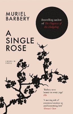 Muriel Barbery - Single Rose, Häftad