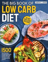 bokomslag The Big Book Of Low Carb Diet