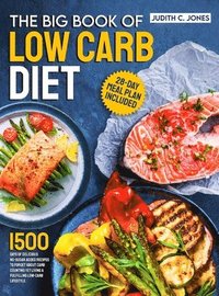 bokomslag The Big Book Of Low Carb Diet