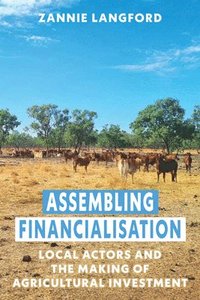 bokomslag Assembling Financialisation