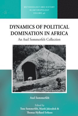 bokomslag Dynamics of Political Domination in Africa