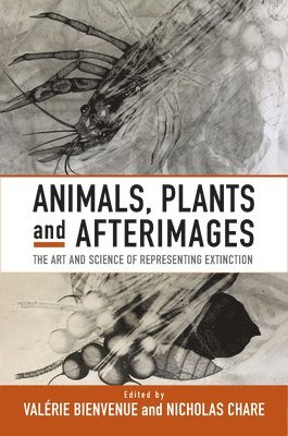Animals, Plants and Afterimages 1
