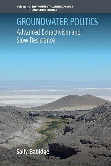Sally Babidge - Groundwater Politics, Inbunden