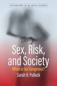 bokomslag Sex, Risk, and Society