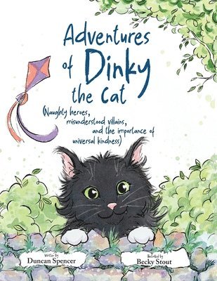 bokomslag Adventures of Dinky the Cat